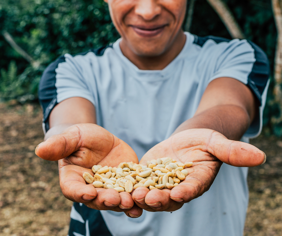 Compromiso Artesanal de El Triciclo: Unidos por el Café de Chiapas
